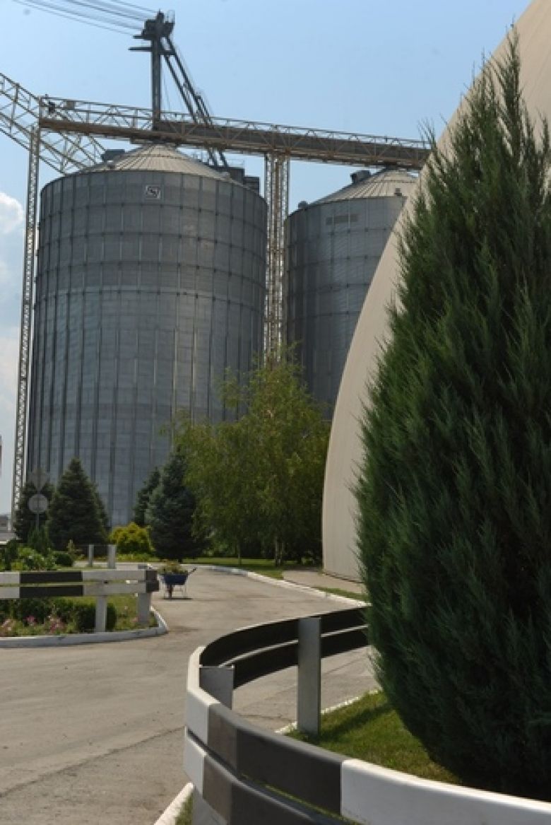 Перегрузочный зерновой терминал «Нибулон» в г. Николаеве