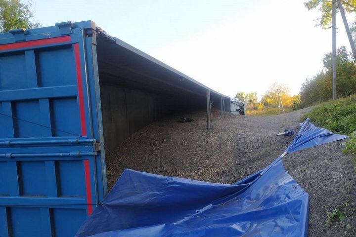 У Черкаській області зерновоз розсипав кілька тонн соняшнику