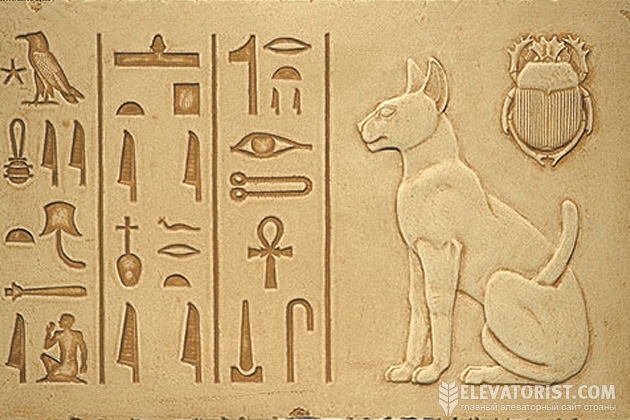 Кошек в Египте даже боготворили