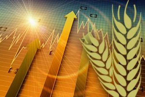 Об экспорте пшеницы и продаже элеваторов