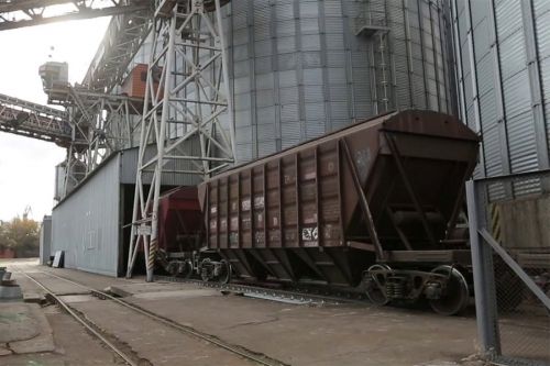 Автоматизация работы удаленного весового комплекса зернового терминала Ника-Тера с помощью мобильного приложения