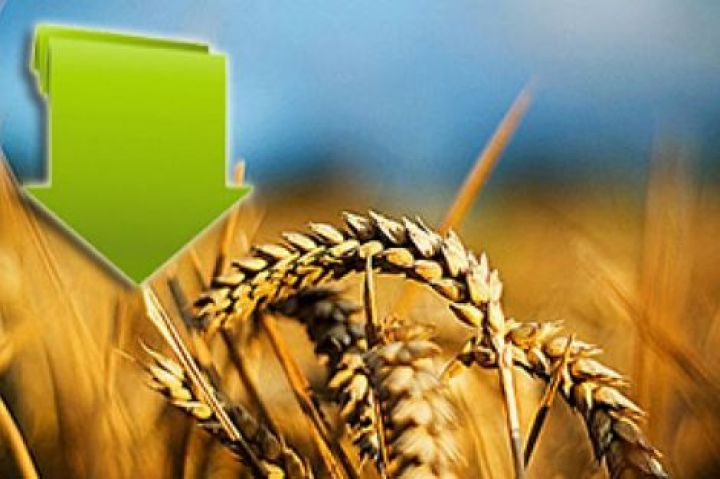 Итоги недели: Про цены на зерно и зерновые станции