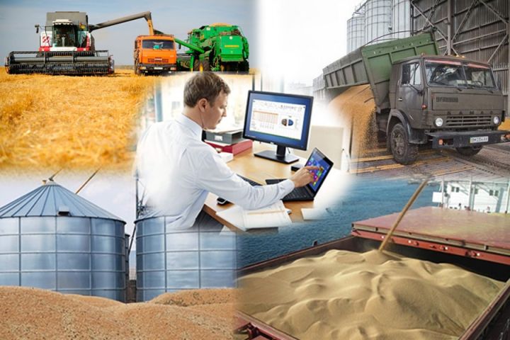 Автоматизация бизнес-процессов как основа выживания и развития зернотрейдеров