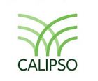 Група компаній CALIPSO