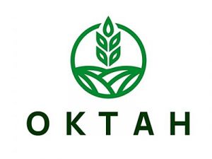 Октан Октан