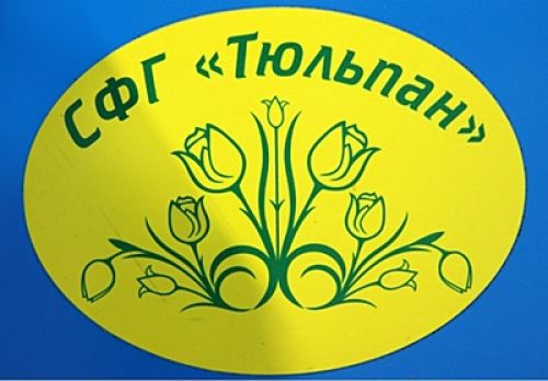 СФГ Тюльпан