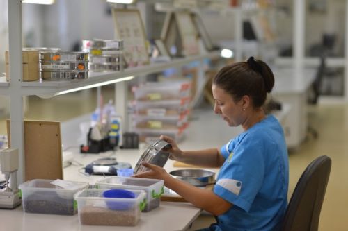 Перегрузочный зерновой терминал «Нибулон» в г. Николаеве