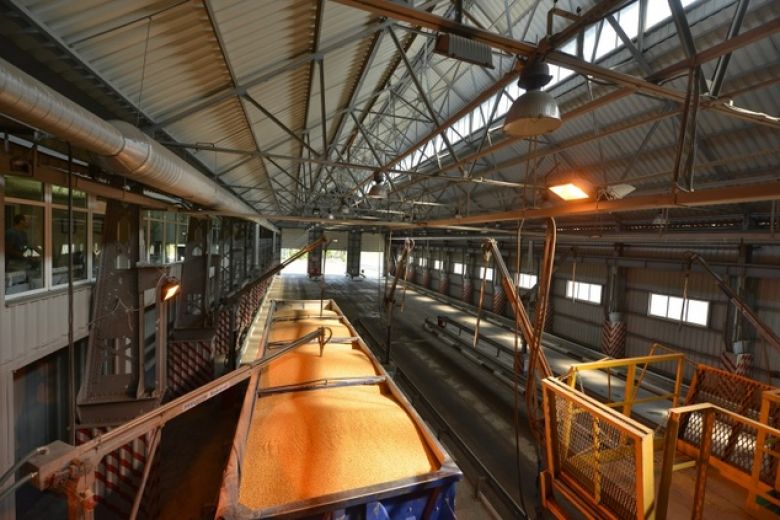 Перегрузочный зерновой терминал «Нибулон» в г. Николаеве