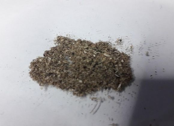 Аспирационная пыль,которая образовалась вследствие перемещения зерна на элеваторе