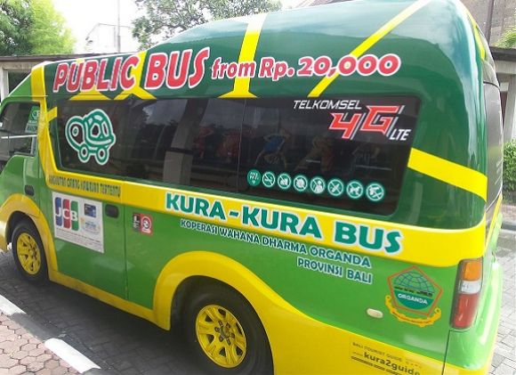 Автобусы KURA-KURA, с характерной эмблемой черепахи