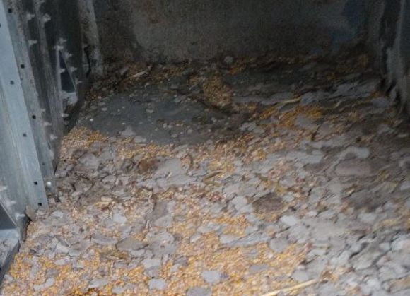 Відстутність регламентної чистки