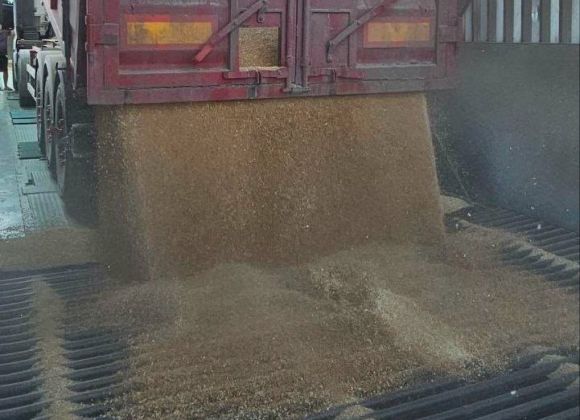 Джерело фото: Tekom Agro Group
