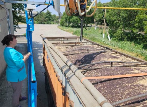 Джерело фото: Tekom Agro Group