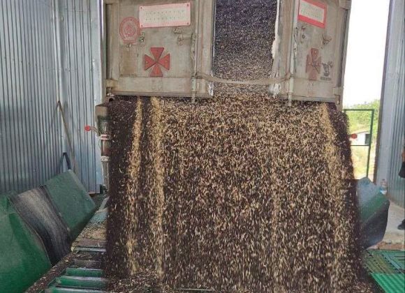 Джерело фото: Tekom Agro Group