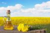 Опубликованы крупнейшие производители рапсового масла в Украине