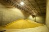 В Госрезерве зафиксировали недостачу зерна на 800 млн грн