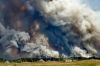 Пожары на Луганщине могут уничтожить урожай кукурузы — элеваторщики