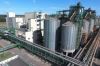 Содружество запустит завод по переработке масличных через полгода
