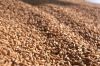 На Элеватор-Агро рассказали, как сушат пшеницу