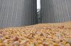 Елеватори Донецької області збільшили залишки зерна у 2 рази