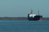 Частка експортних відправлень з морських портів продовжує зростати — аналітики
