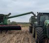 Alebor Group завершила збір соняшника в господарствах СФГ «Оріон» та СТОВ «Колос» з рекордною врожайністю