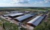 Агрокомпанія «Скіф» планує будівництво біогазового заводу на Полтавщині