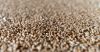 Зерно пшениці