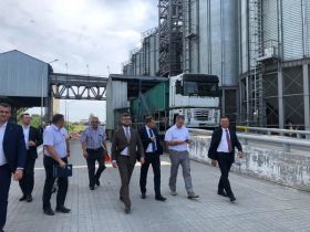 Укрзализныця открыла свой первый зерновой терминал