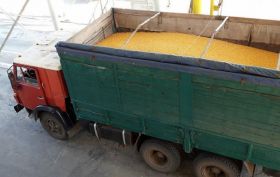 Речной терминал АгроВисты отправит первую партию кукурузы в сезоне