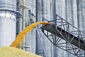 Портовые элеваторы ГПЗКУ увеличили перевалку зерна на 50%