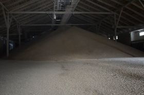 На Чертковском КХП Госрезерва проводят инвентаризацию зерна