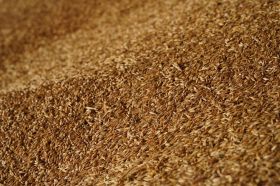 Зерновой терминал НКХП планирует увеличить перевалку зерновых до 2 млн т