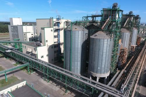 Содружество намерено построить в Курской области завод по переработке масличных