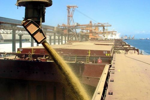 COFCO Agri Ukraine за 2018/19 МГ нарастила экспорт зерна на треть