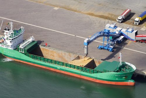 Саудовская SALIC намерена купить зерновой терминал на Черном море
