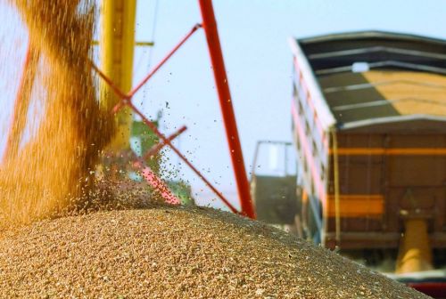 Mak Holding продала более 300 тысяч тонн зерна в первый год работы
