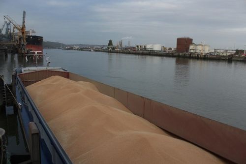 Аскет Шиппинг перевез по реке в 2019 году 140 тысяч тонн зерна