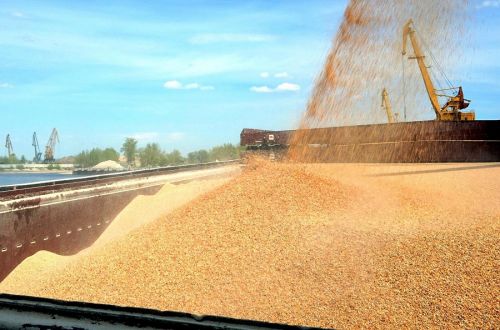 ОЛАМ планирует войти в пятерку крупнейших экспортеров зерна в Украине