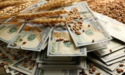 Коронавирус снизил цены на черноморскую пшеницу