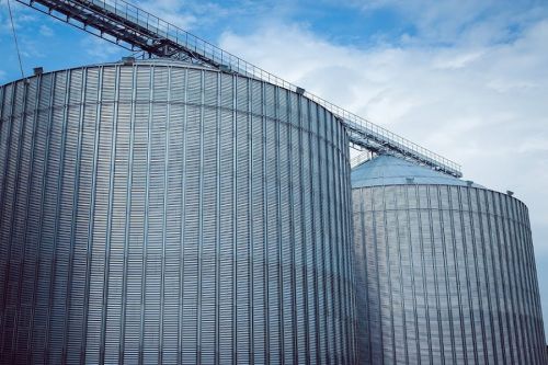 Элеваторы Grain Alliance на Киевщине за сезон обработали 65 тысяч тонн зерна
