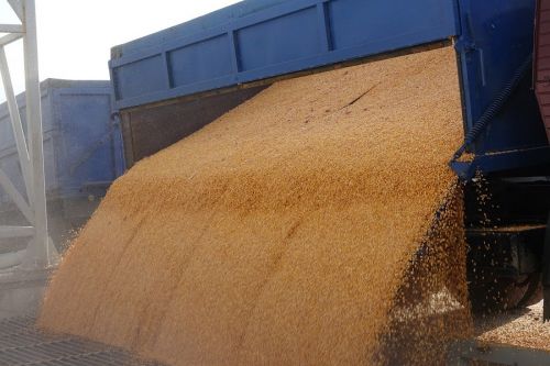 На Херсонском КХП смогут одновременно взвешивать и разгружать зерно