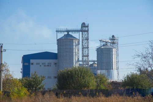 Элеваторы Ristone Holdings заготовили 180 тысяч тонн зерна