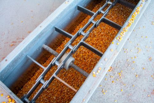 Элеваторы G.R. Agro ввели гибкие условия по приемке кукурузы от аграриев