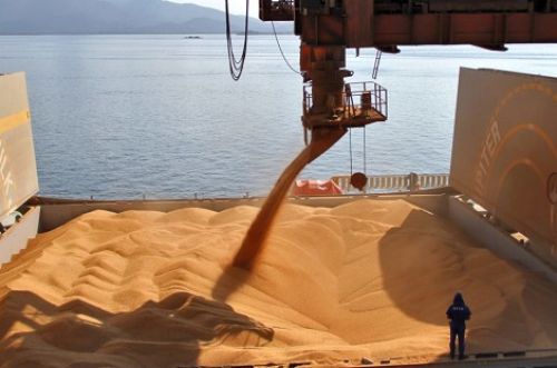 COFCO заключила сделки о закупке зерна и растительного масла в Китай на $10 млрд