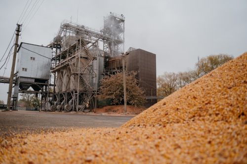 В Украине осталось убрать 3% посевных площадей под зерновыми В Украине осталось убрать 3% посевных площадей под зерновыми