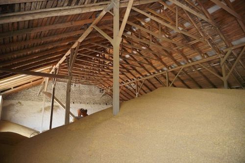 Элеваторы Прометея приняли 320 тысяч тонн зерна нового урожая 