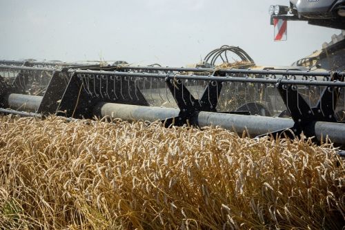 Аграрии Украины собрали рекордный урожай ранних зерновых