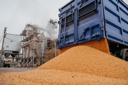 Подорожчання газу змусило елеватори не приймати зерно на зберігання Подорожчання газу змусило елеватори не приймати зерно на зберігання