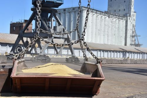 Експорт пшениці в Україні у 2021 році досягне двох рекордів